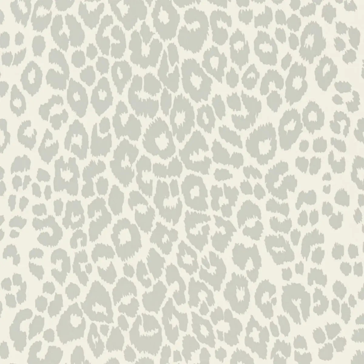 Iconic Leopard Wallpaper - Cloud