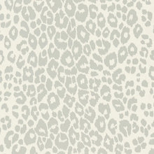 Load image into Gallery viewer, Iconic Leopard Wallpaper - Cloud
