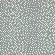 Load image into Gallery viewer, Raindots Wallpaper - Fog