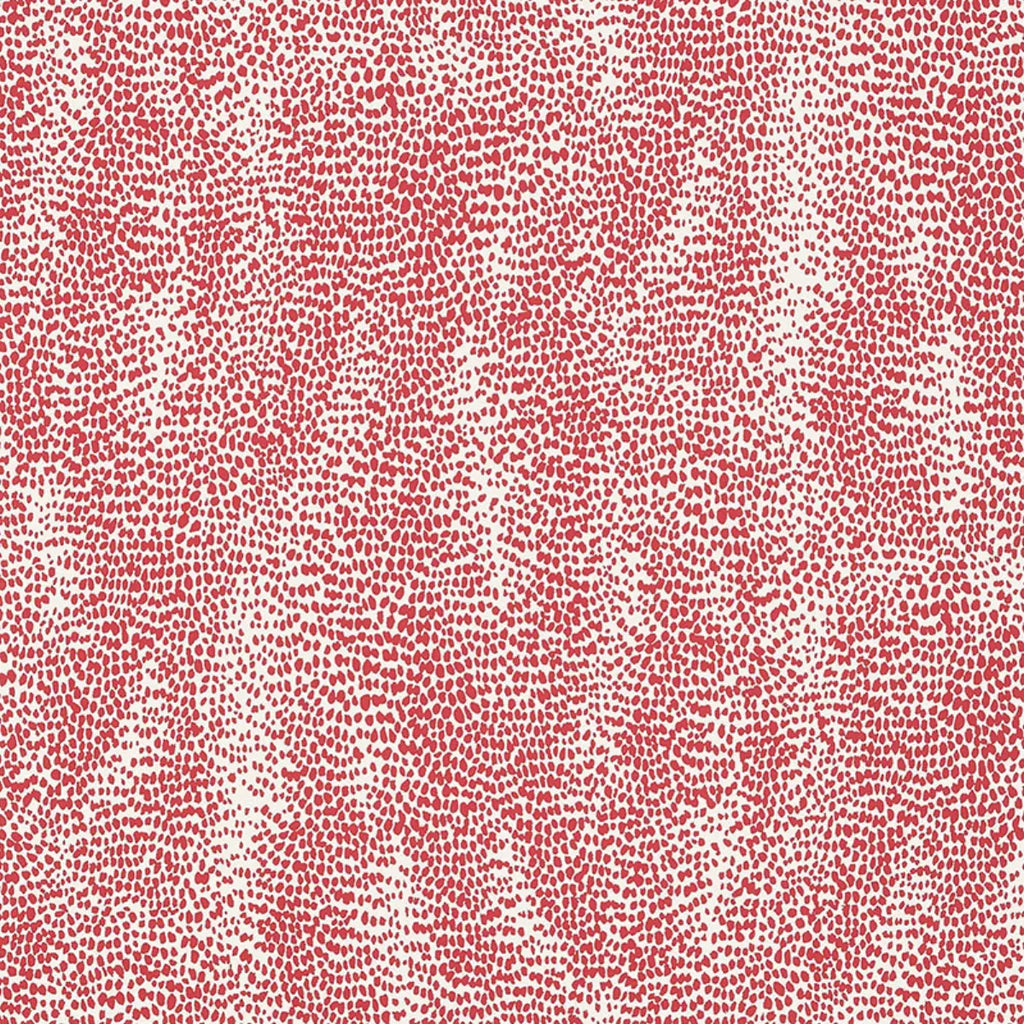 Drizzle Wallpaper