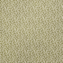 Load image into Gallery viewer, Folly Wallpaper - Olive