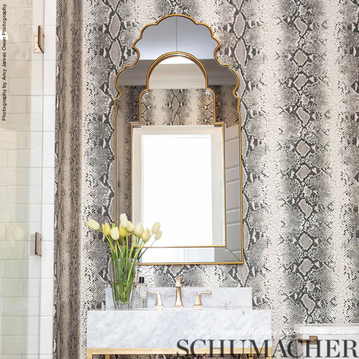 Snake Charmer Wallpaper in an interior setting