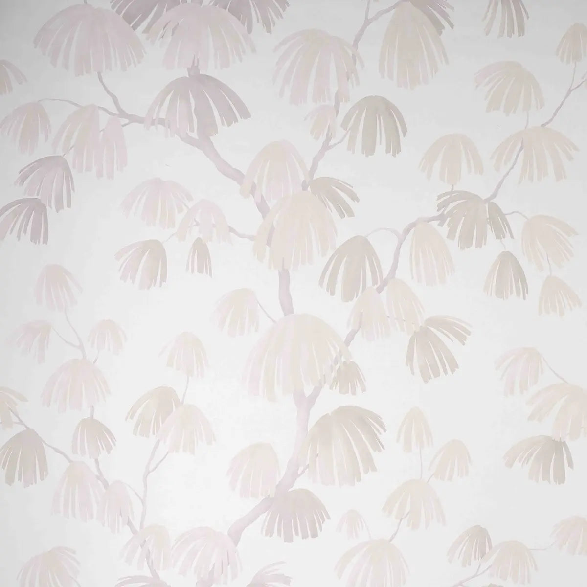 Weeping Pine Wallpaper - Cloud