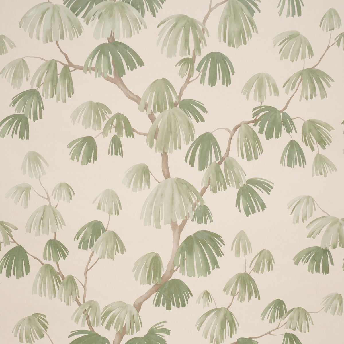 Weeping Pine Wallpaper - Green