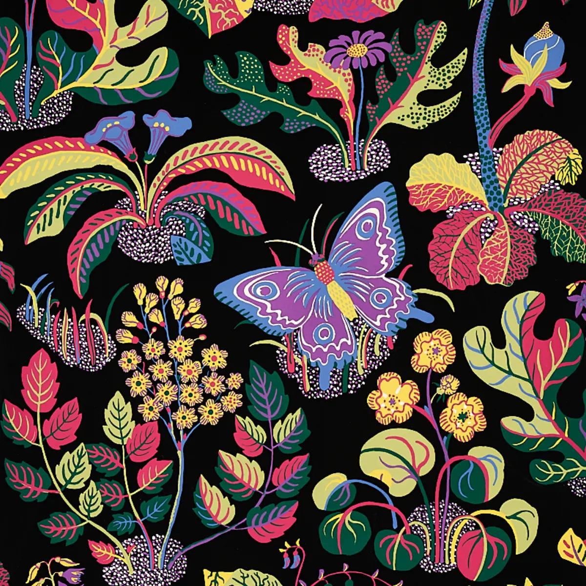 Exotic Butterfly Wallpaper - Black