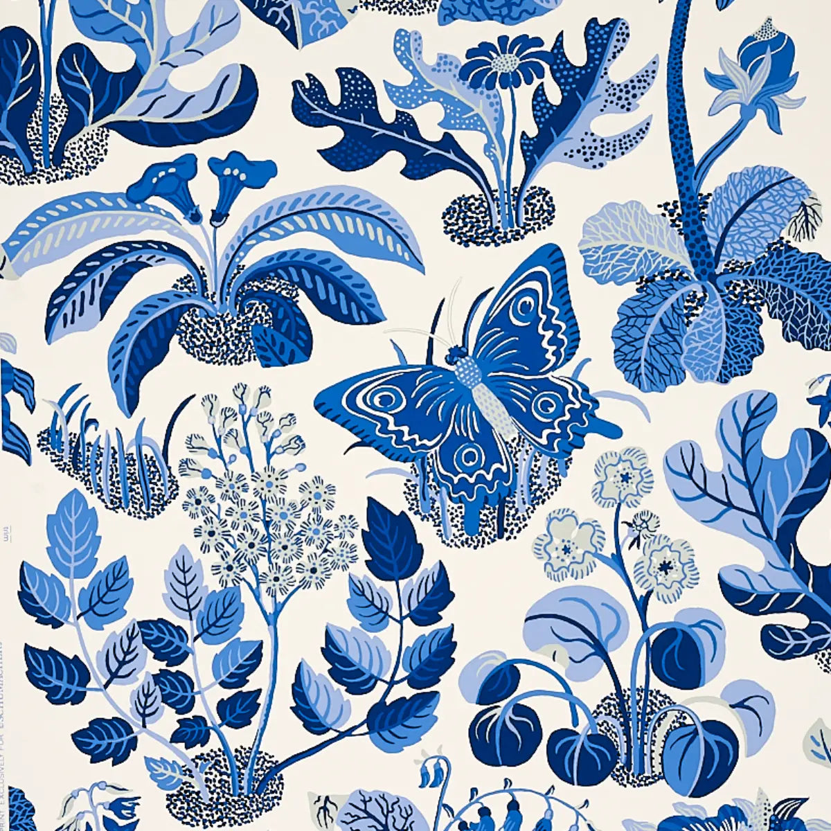 Exotic Butterfly Wallpaper - Marine