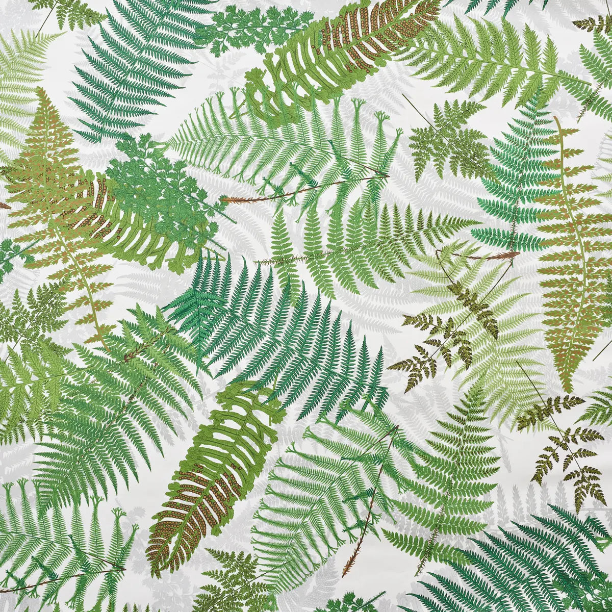 Fernarium Wallpaper - Ivory & Leaf