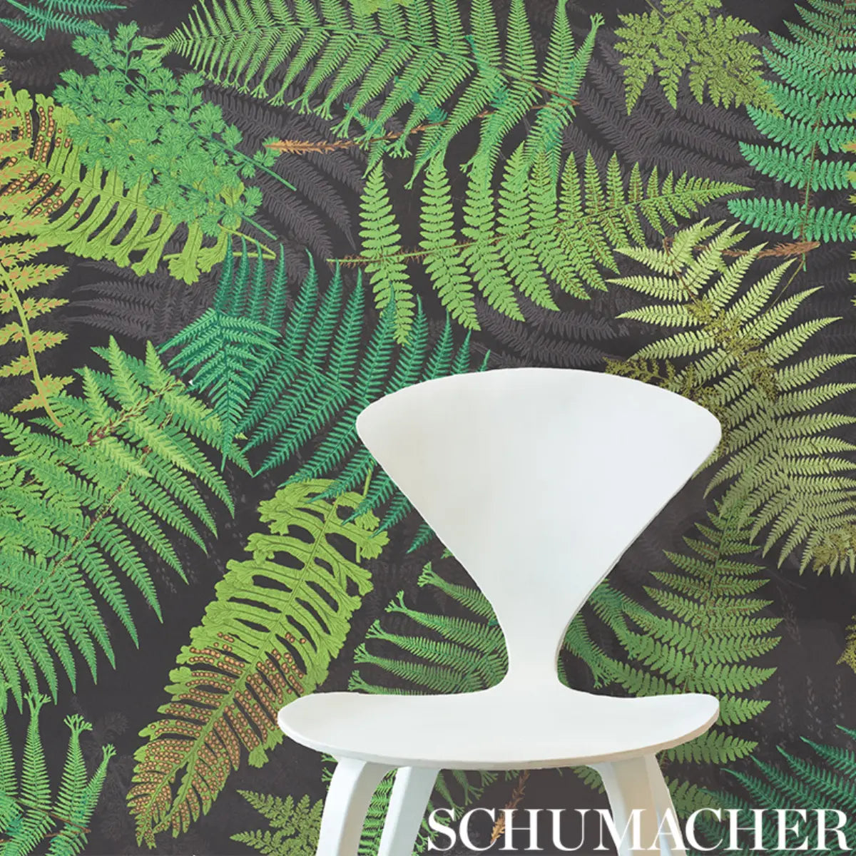 Fernarium Wallpaper in an interior setting