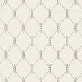 Diso Wallpaper