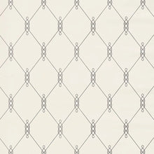Load image into Gallery viewer, Diso Wallpaper