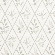 Load image into Gallery viewer, Endimione Wallpaper - Grey