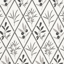 Load image into Gallery viewer, Endimione Wallpaper - Carbon