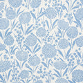Chrysanthemum Wallpaper