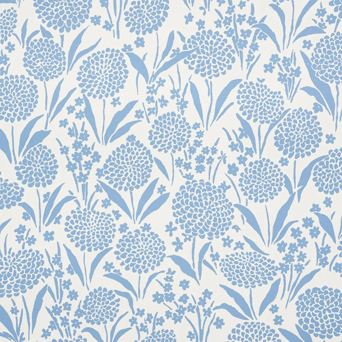 Chrysanthemum Wallpaper