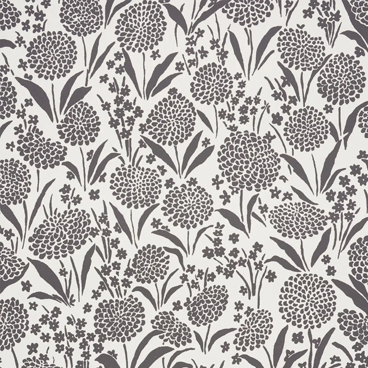 Chrysanthemum Wallpaper - Carbon