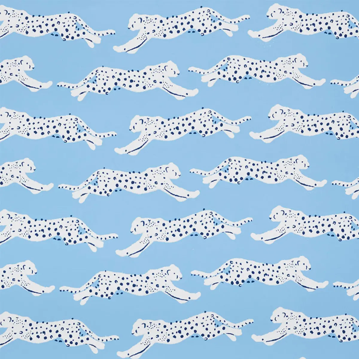 Leaping Leopards Wallpaper - Sky