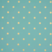 Load image into Gallery viewer, Stargaze Wallpaper - Grand Central