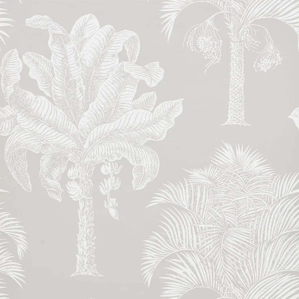 Grand Palms Wallpaper - Dove