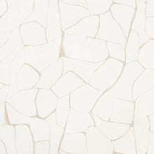 Load image into Gallery viewer, Filigree Wallpaper