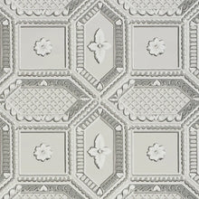 Load image into Gallery viewer, Lacunaria Wallpaper - Dove