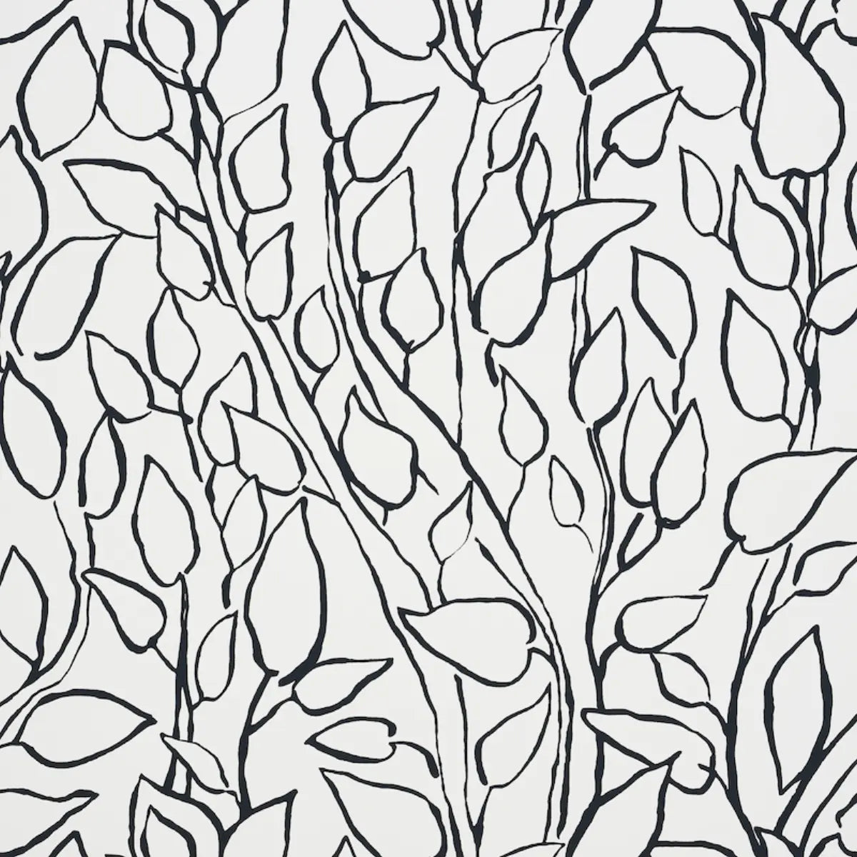 Solandra Vine Wallpaper - Black