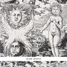 Load image into Gallery viewer, Modern Toile Wallpaper