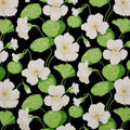 Nasturtium Wallpaper