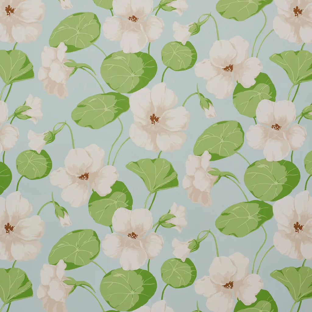 Nasturtium Wallpaper - Sky