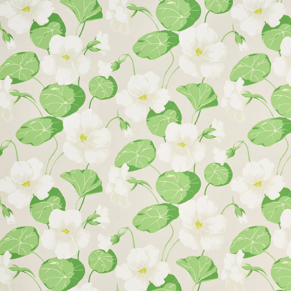 Nasturtium Wallpaper - Stone
