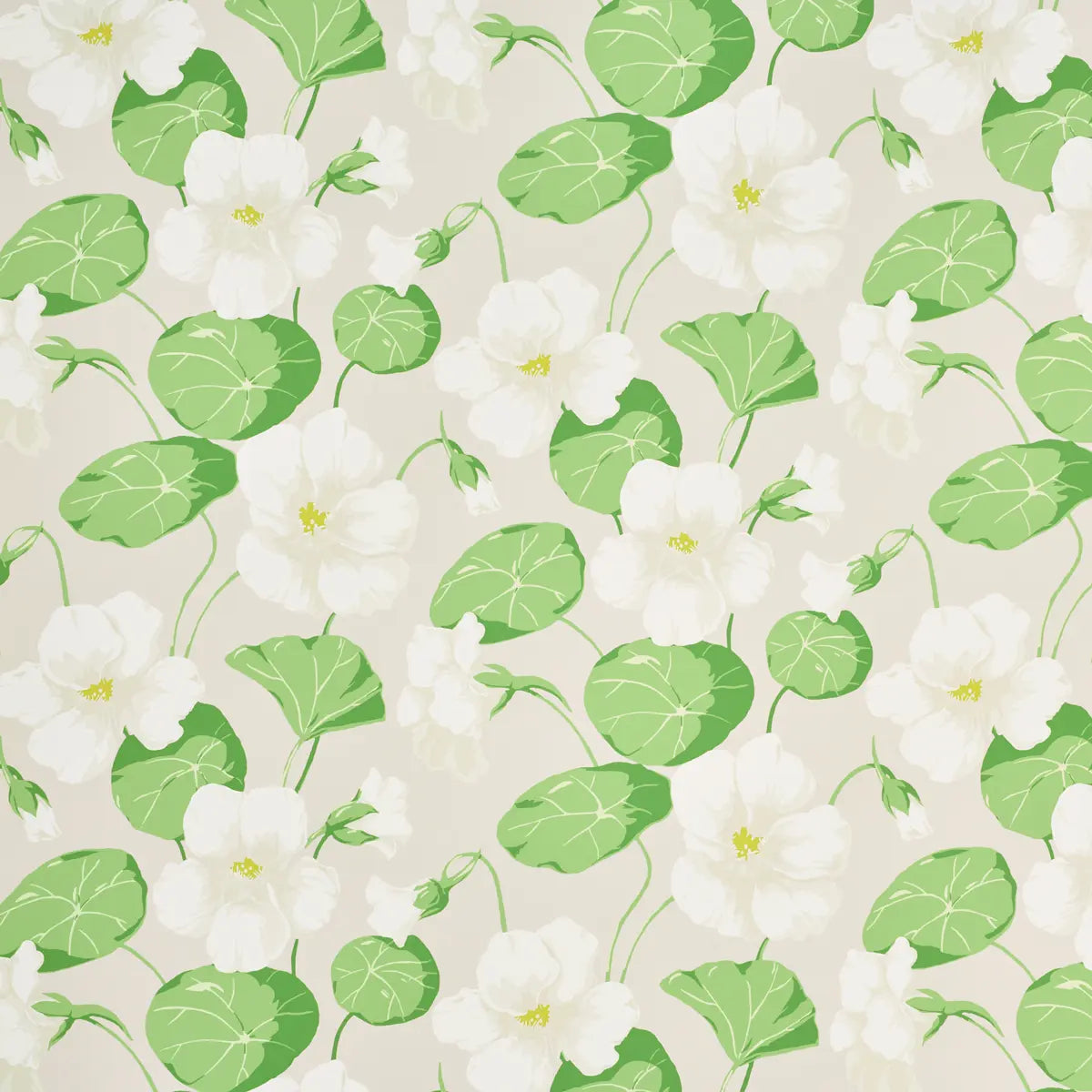 Nasturtium Wallpaper - Stone