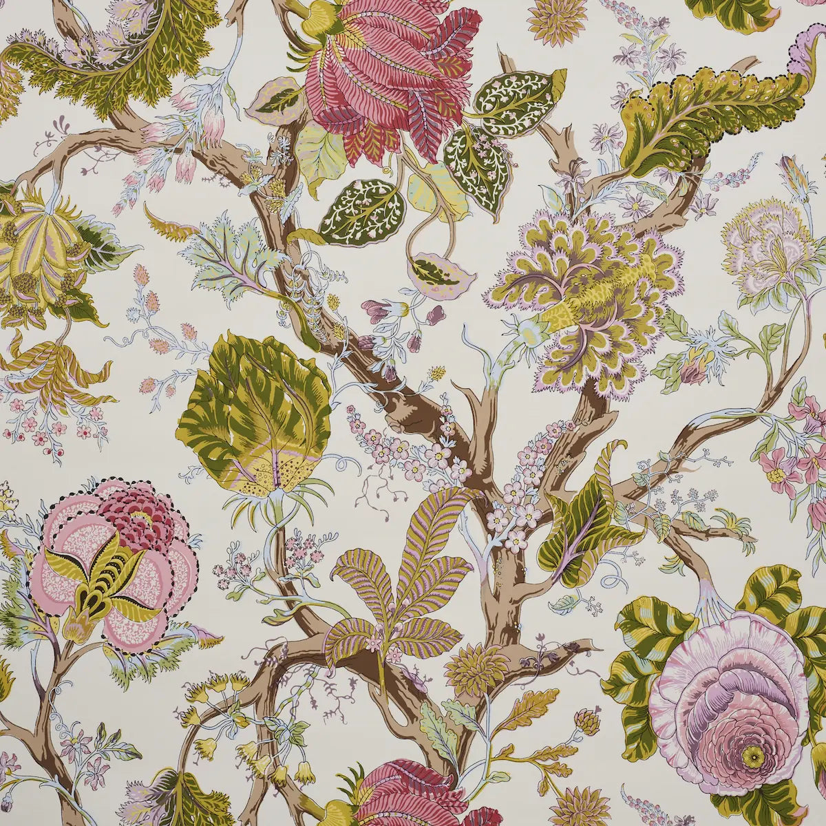 Indian Arbre Wallpaper