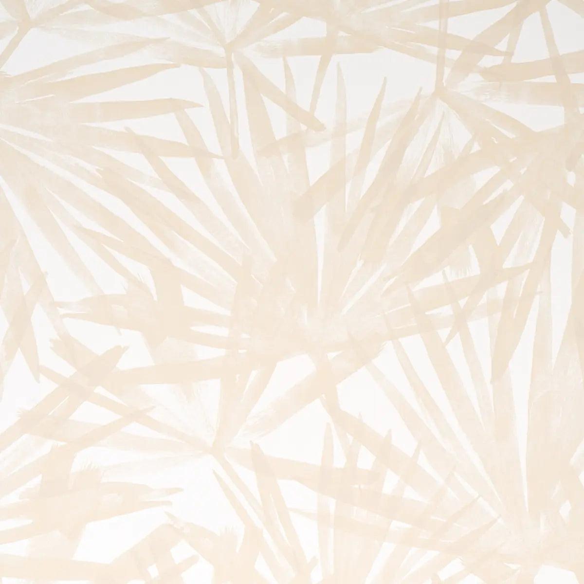 Sunlit Palm Wallpaper