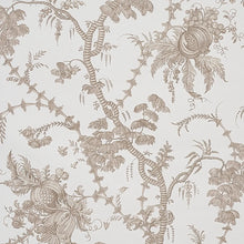 Load image into Gallery viewer, San Cristobal Toile Wallpaper