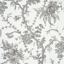 Load image into Gallery viewer, San Cristobal Toile Wallpaper - Black
