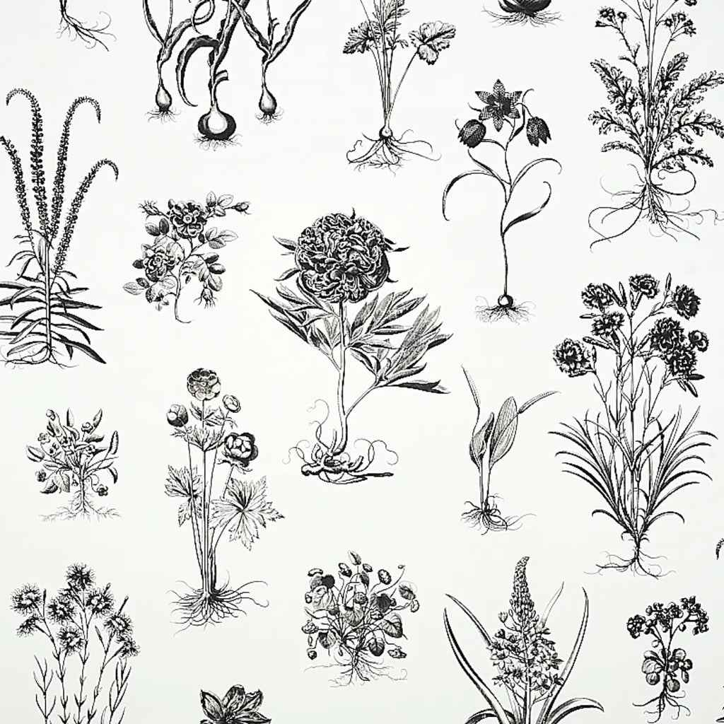 Cabot Botanical Large Wallpaper