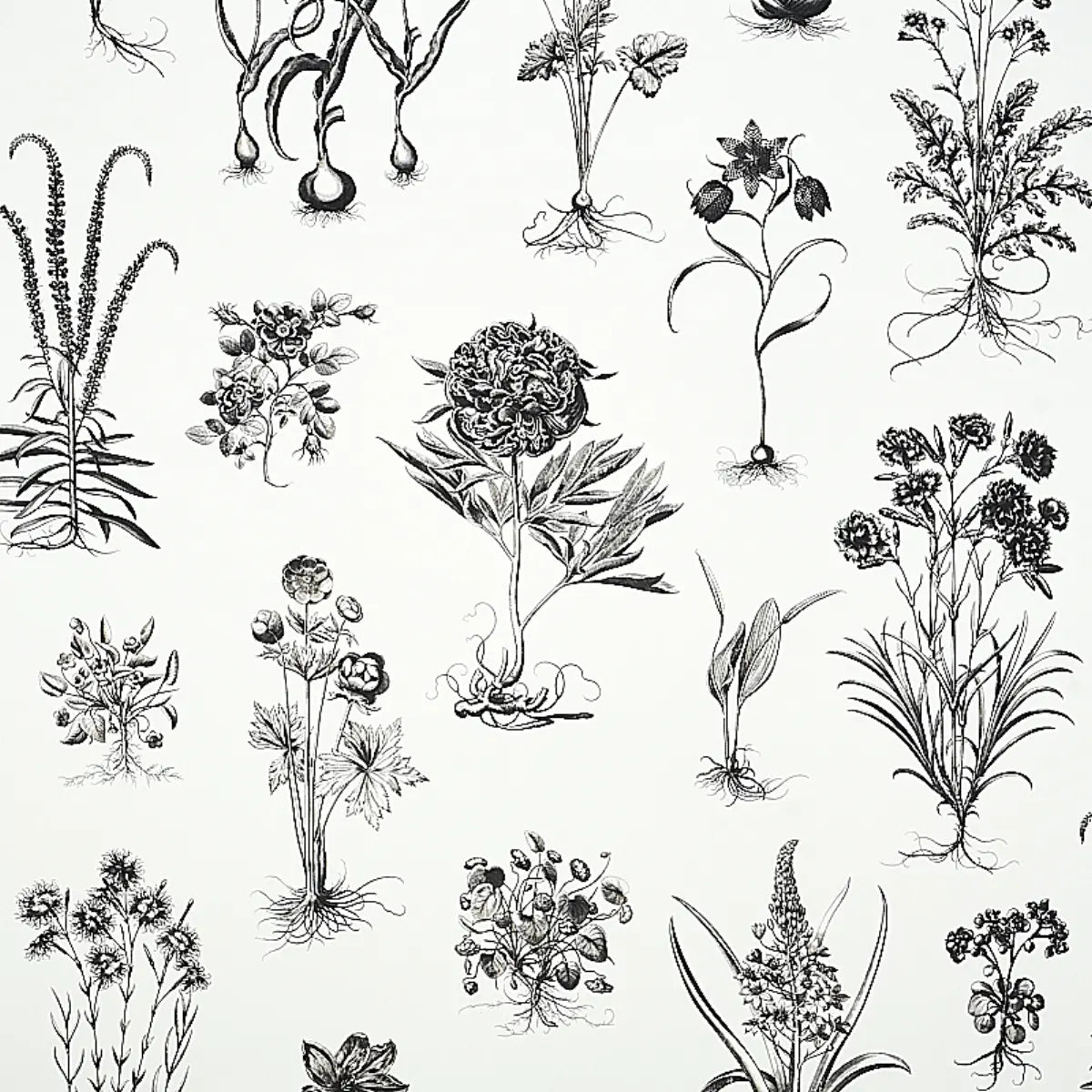 Cabot Botanical Large Wallpaper