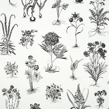 Load image into Gallery viewer, Cabot Botanical Large Wallpaper