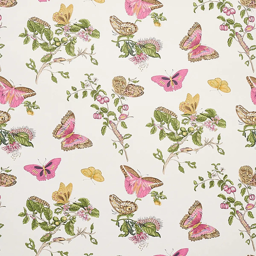 Baudin Butterfly Wallpaper - Blush