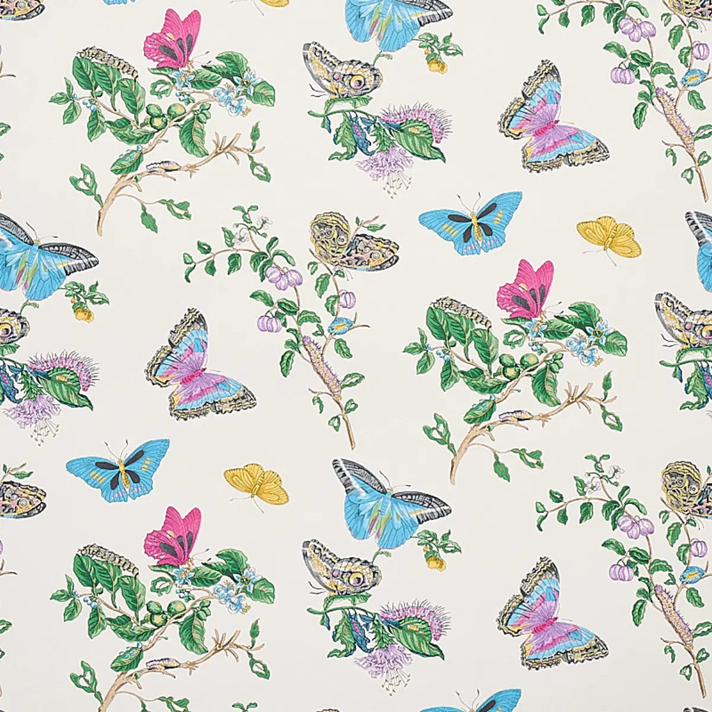 Baudin Butterfly Wallpaper