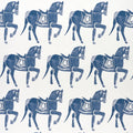 Marwari Horse Wallpaper