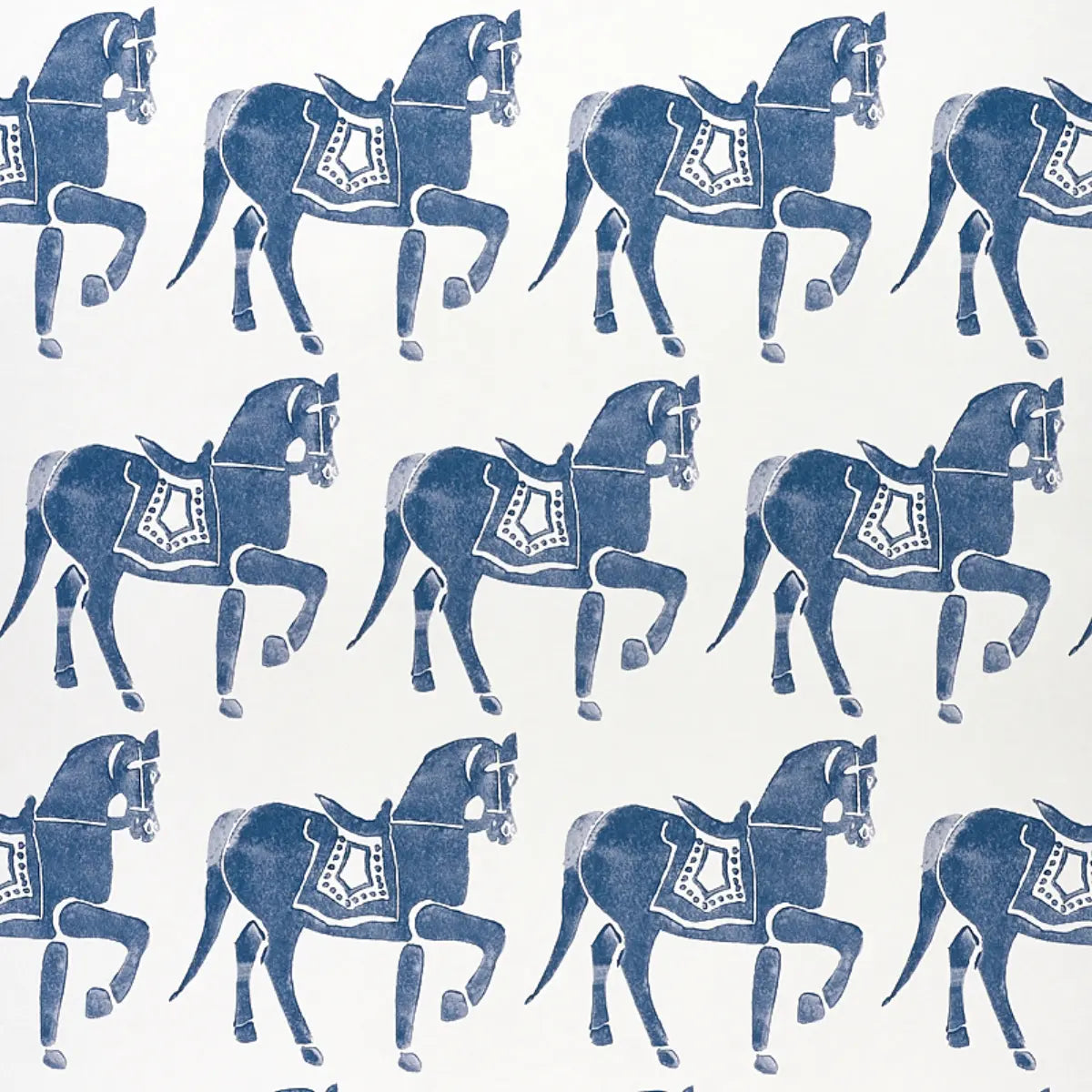Marwari Horse Wallpaper