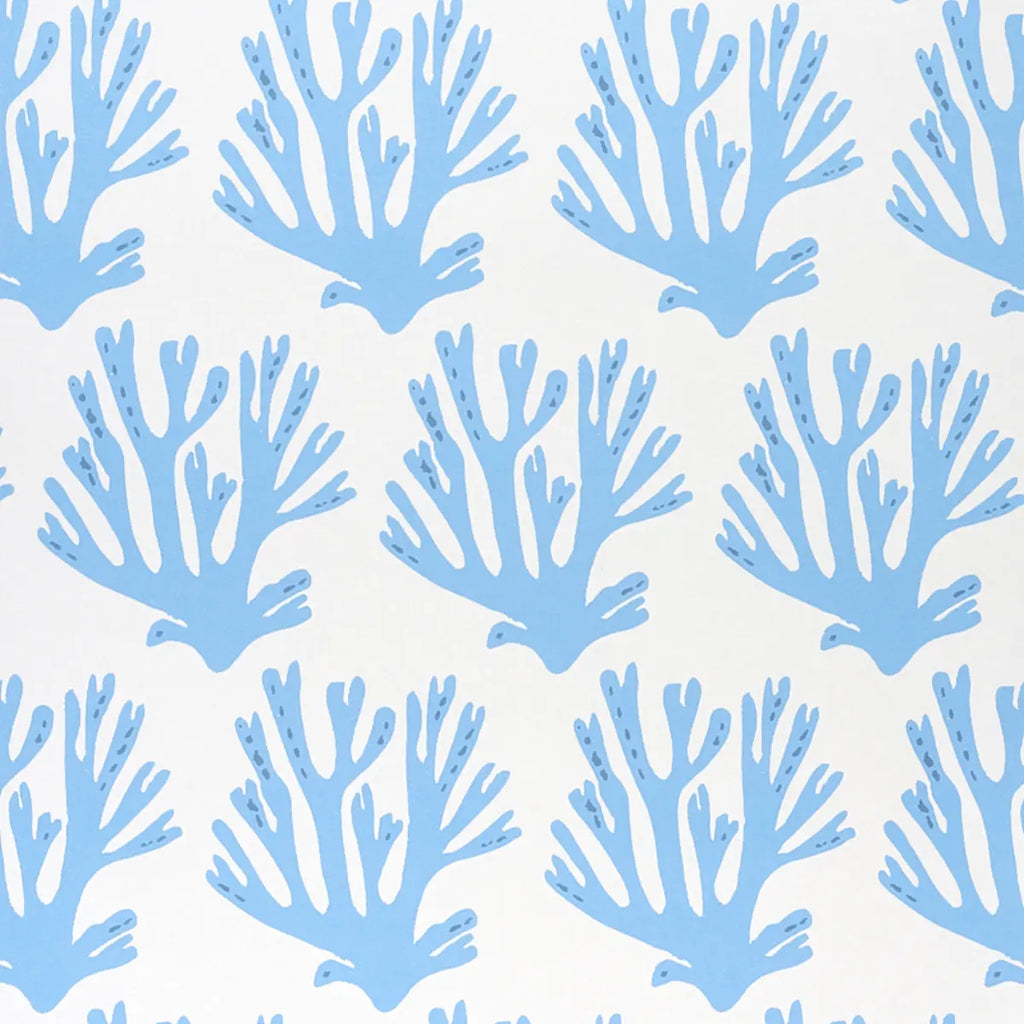 Coral Wallpaper