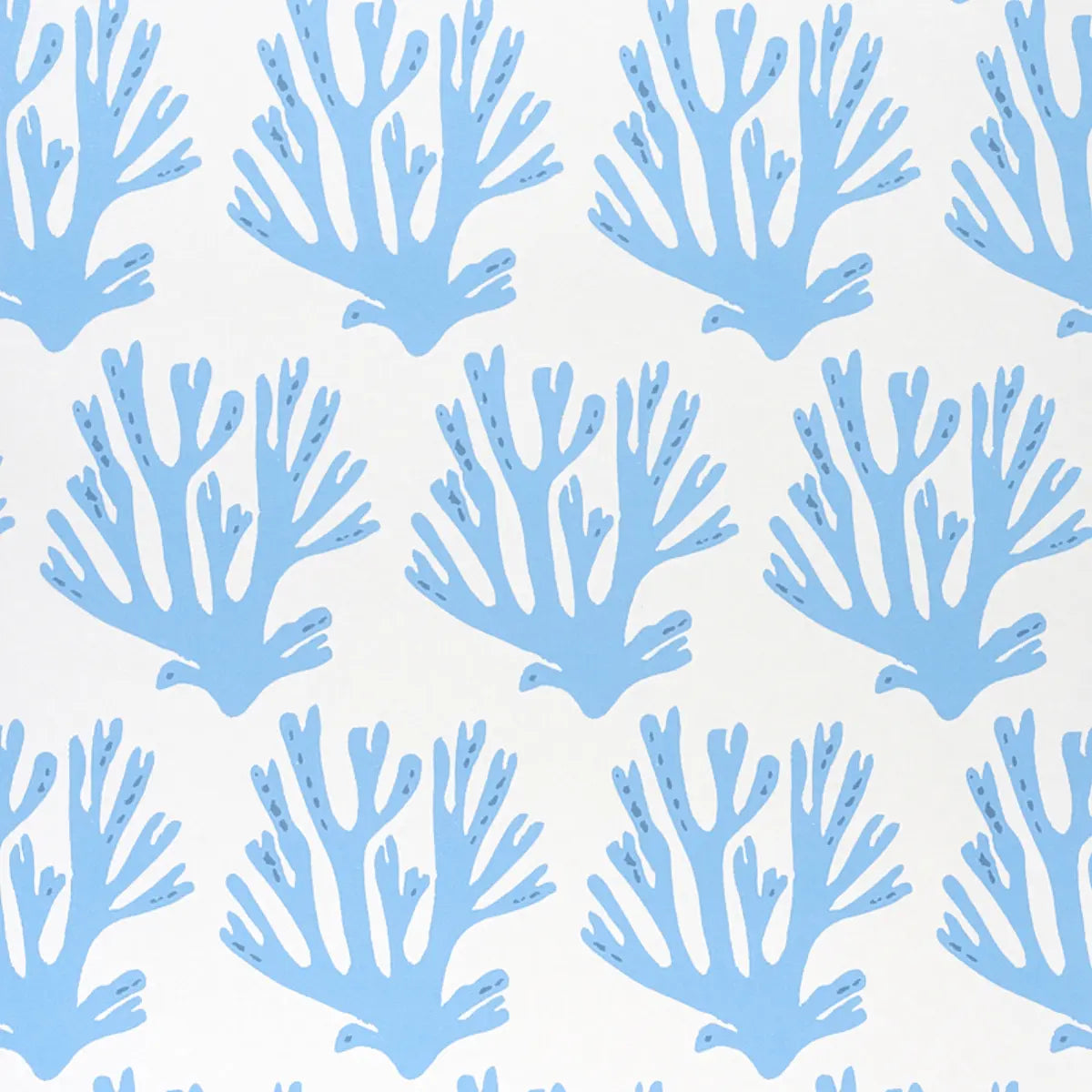 Coral Wallpaper