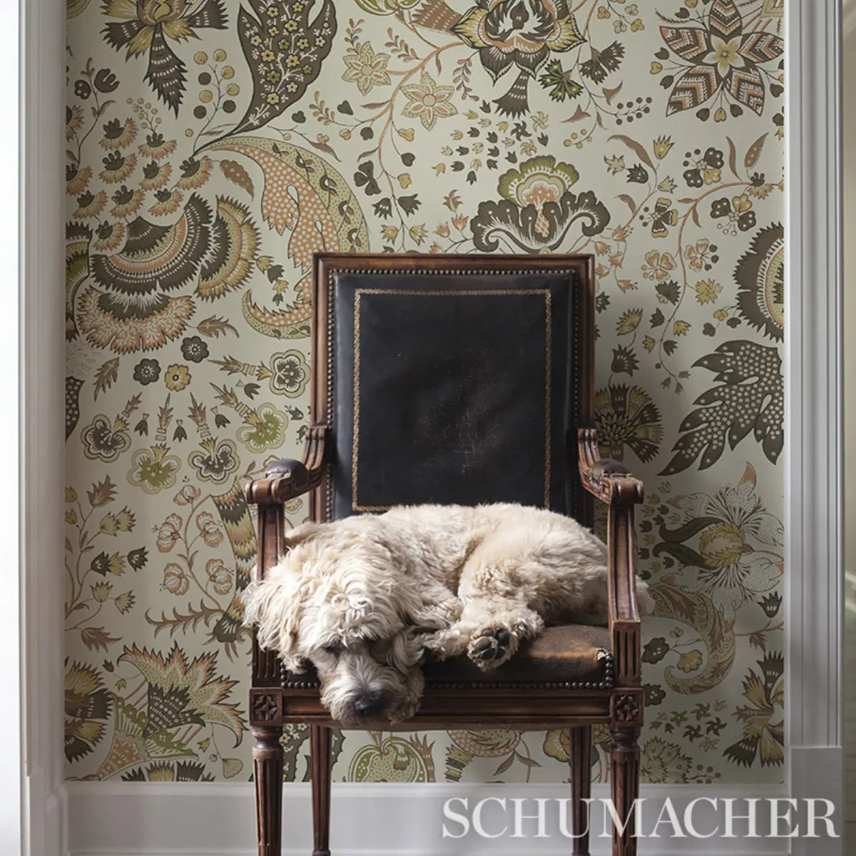 Majorelle Wallpaper in an interior setting
