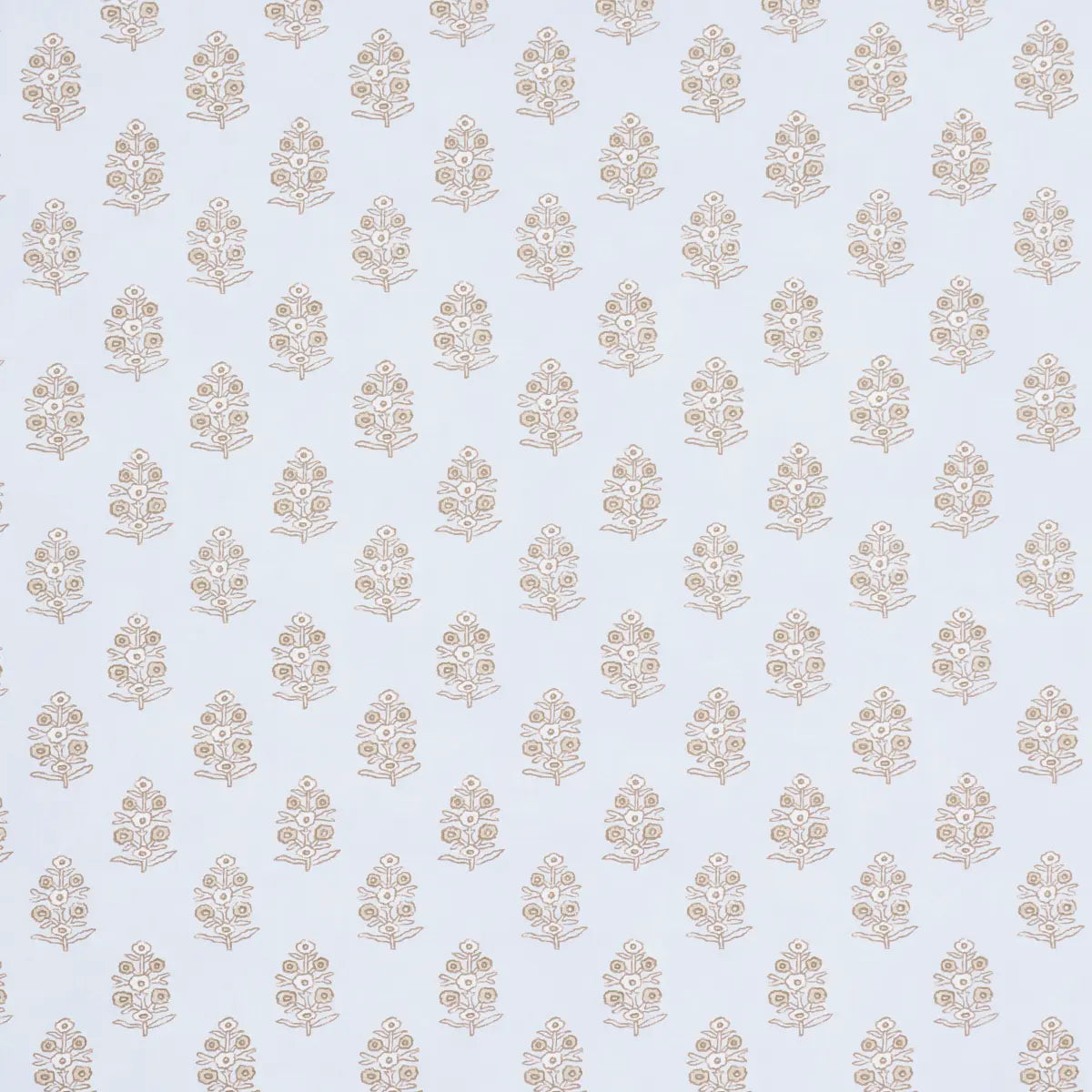 Aditi Wallpaper - Sky