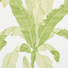 Load image into Gallery viewer, Erisimo Wallpaper - Leaf