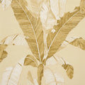 Erisimo Wallpaper