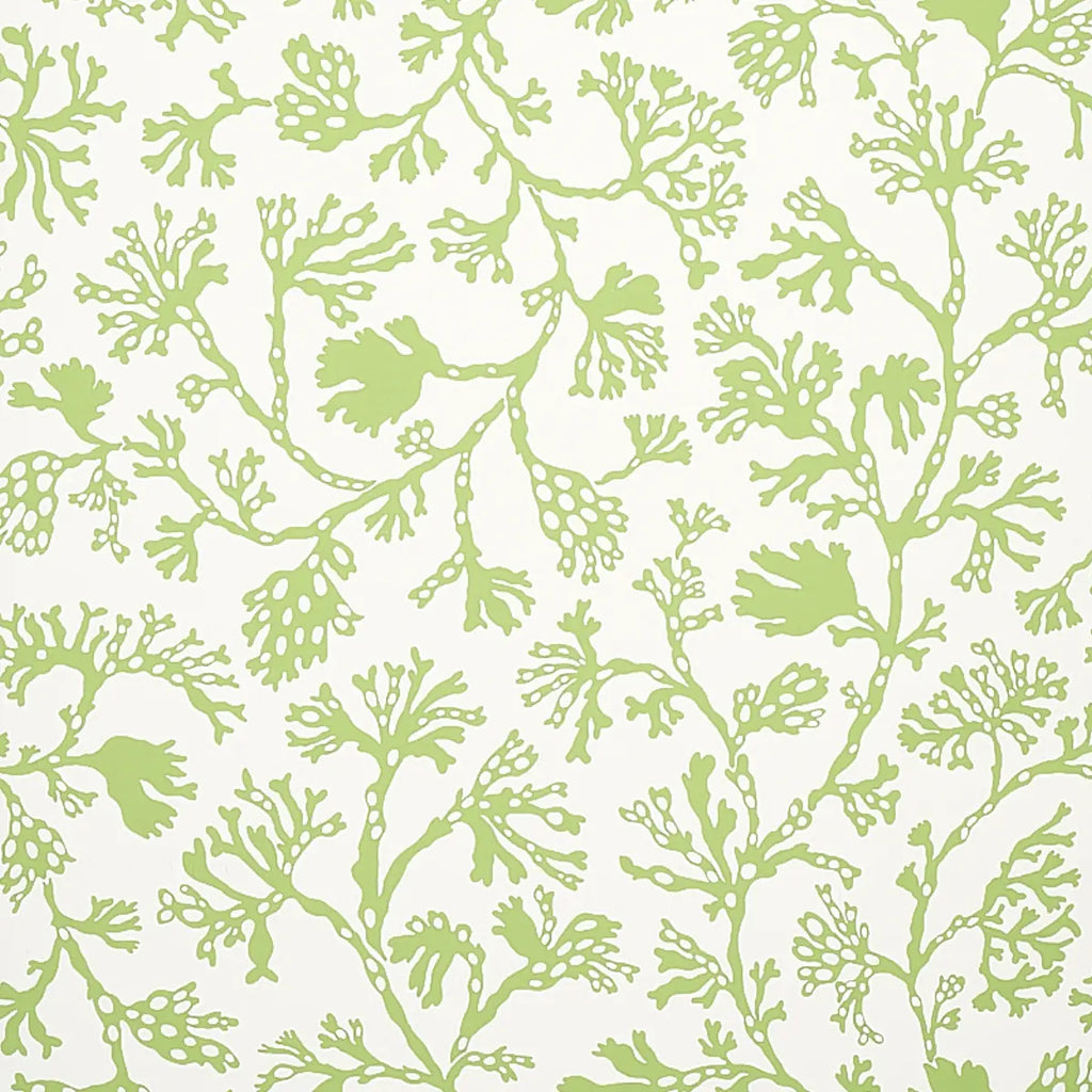 Anthoza Wallpaper - Green