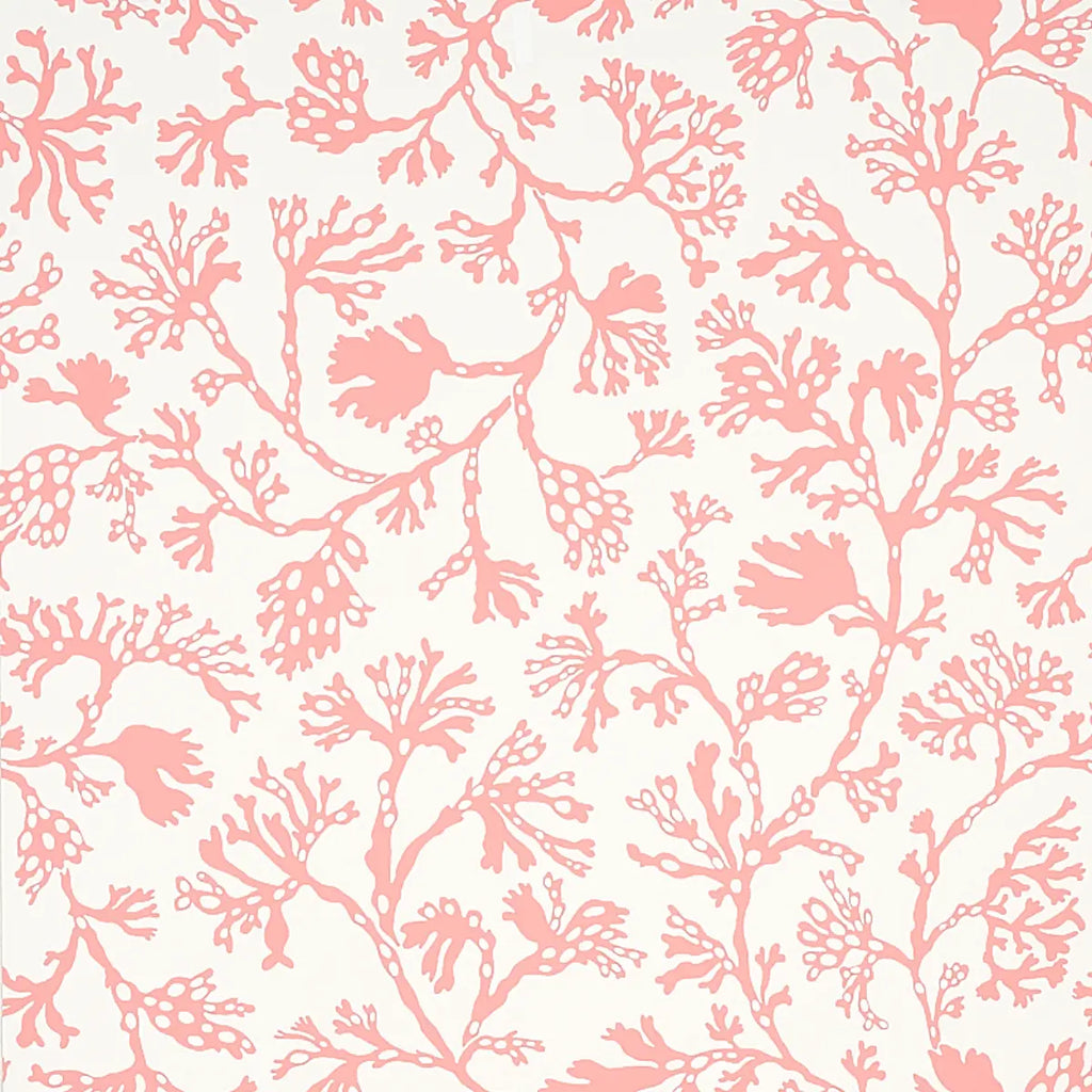 Anthoza Wallpaper - Coral