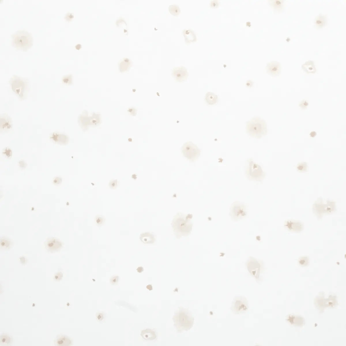 Stellar Wallpaper - Neutral